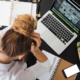 Stressed about money you owe the IRS? The Tax Bakery experts can help you handle tax stress and resolve what you owe.